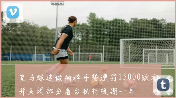 皇马球迷做纳粹手势遭罚15000欧元并关闭部分看台执行缓期一年